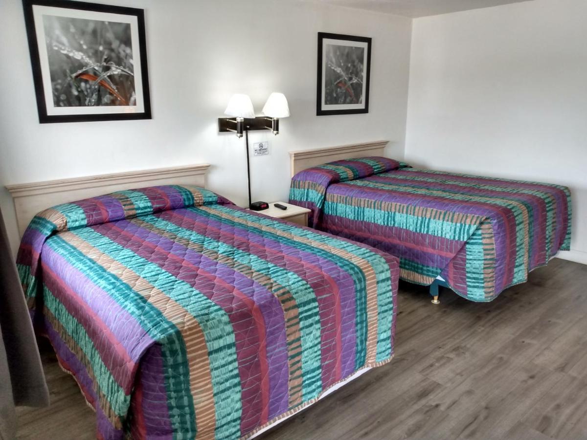 Eldorado Motel 뉴 캐슬 외부 사진